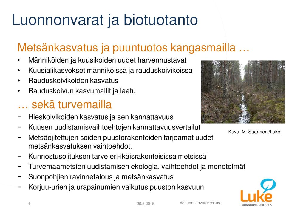 kannattavuusvertailut Metsäojitettujen soiden puustorakenteiden tarjoamat uudet metsänkasvatuksen vaihtoehdot.