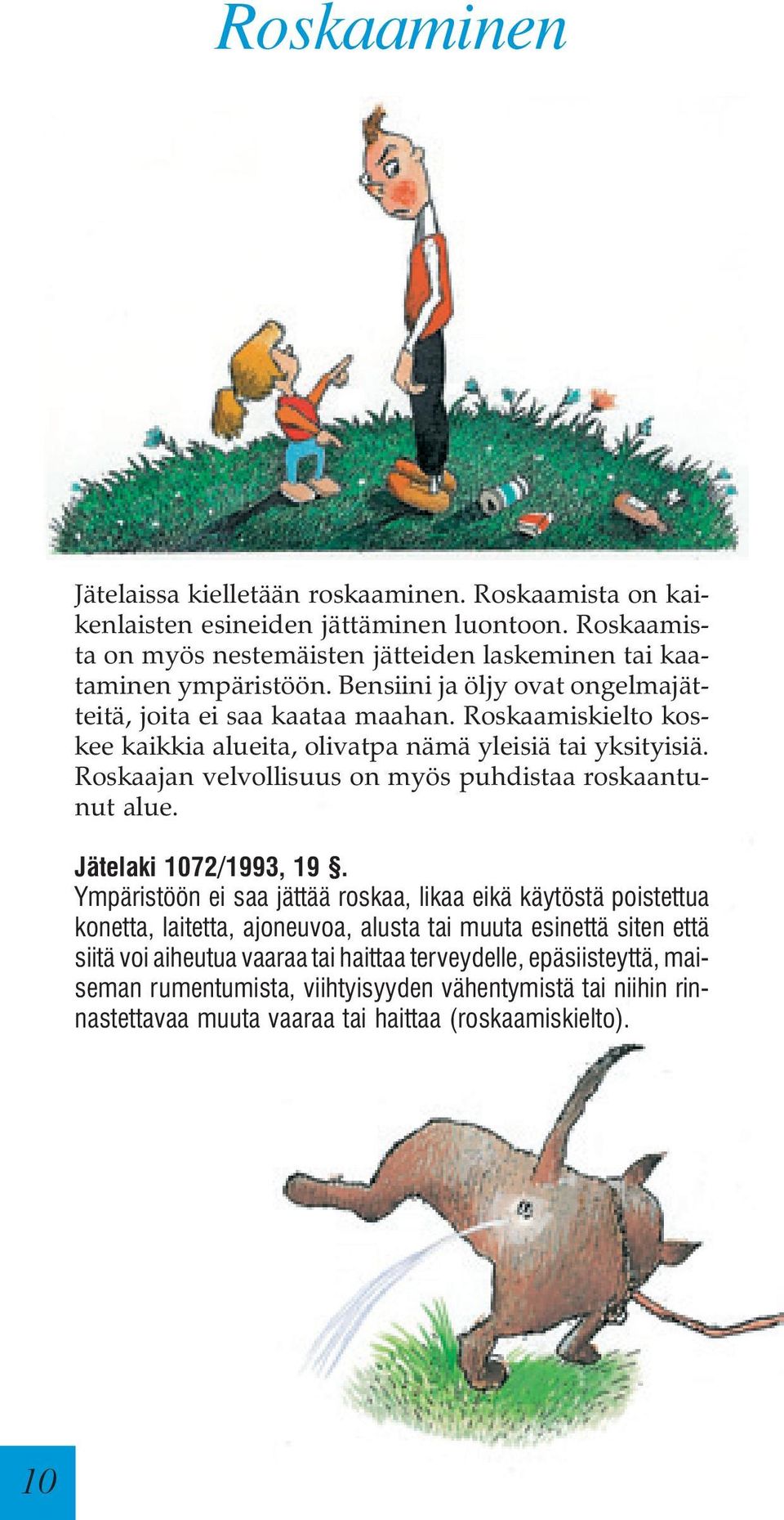 Roskaamiskielto koskee kaikkia alueita, olivatpa nämä yleisiä tai yksityisiä. Roskaajan velvollisuus on myös puhdistaa roskaantunut alue. Jätelaki 1072/1993, 19.