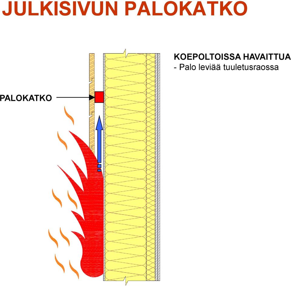 HAVAITTUA - Palo