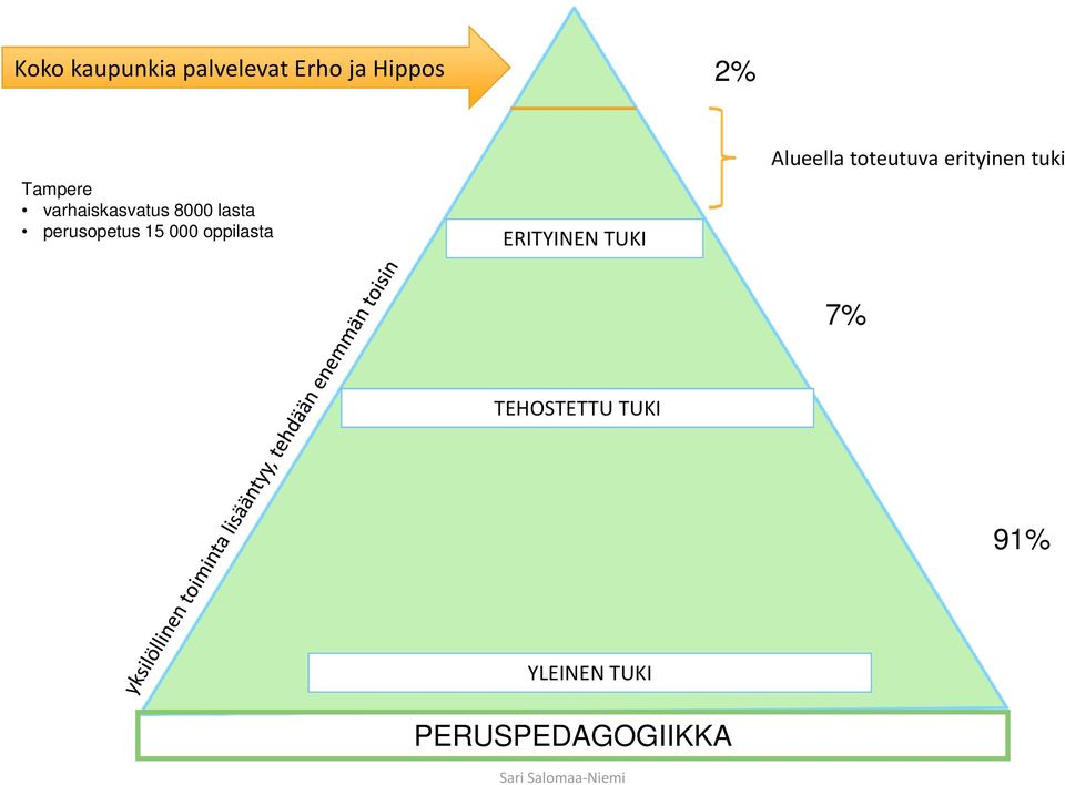 ERITYINEN TUKI Alueella toteutuva erityinen tuki 7%