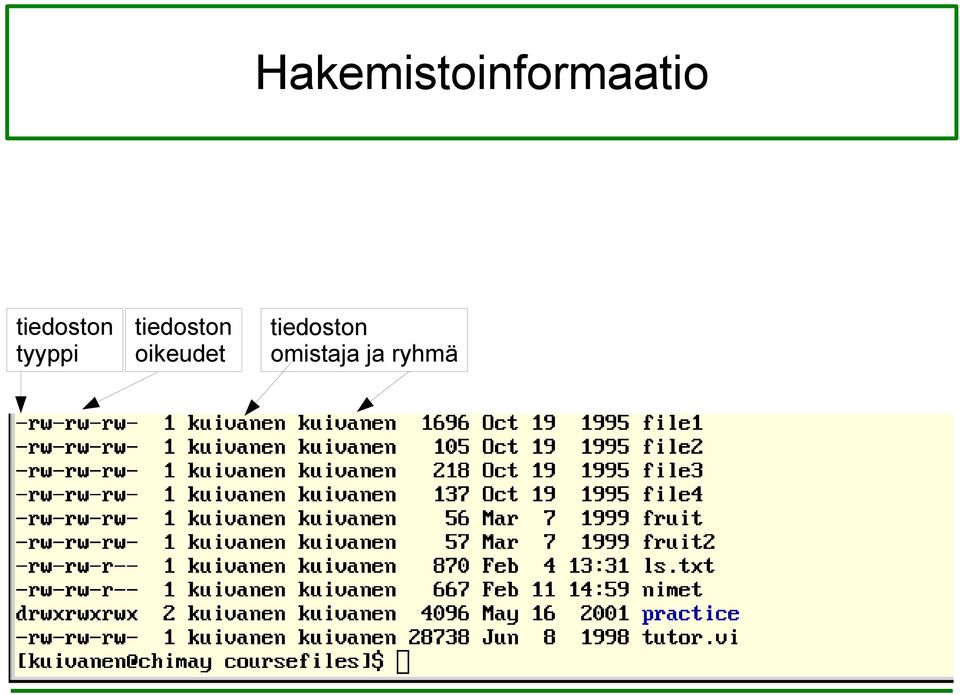 tiedoston oikeudet