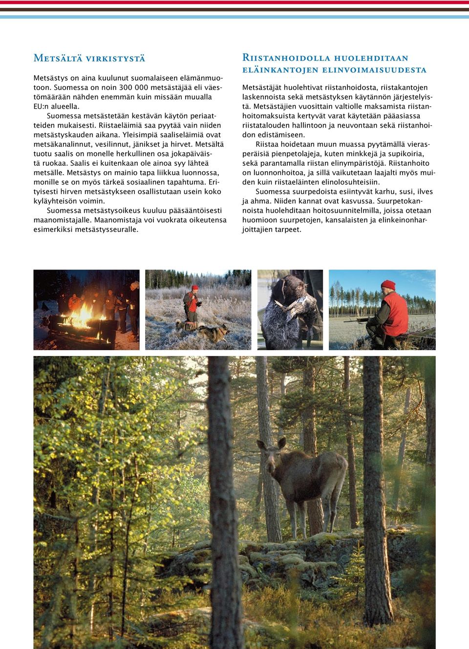 Yleisimpiä saaliseläimiä ovat metsäkanalinnut, vesilinnut, jänikset ja hirvet. Metsältä tuotu saalis on monelle herkullinen osa jokapäiväistä ruokaa.