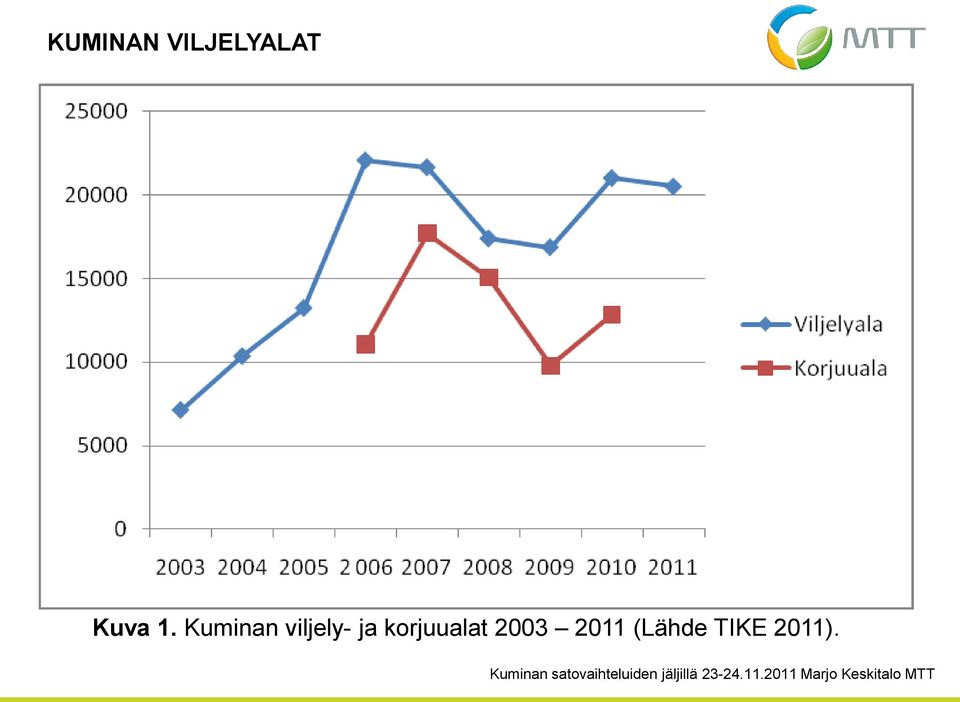 Kuminan viljely- ja