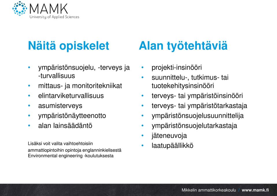 englanninkielisestä Environmental engineering -koulutuksesta projekti-insinööri suunnittelu-, tutkimus- tai tuotekehitysinsinööri