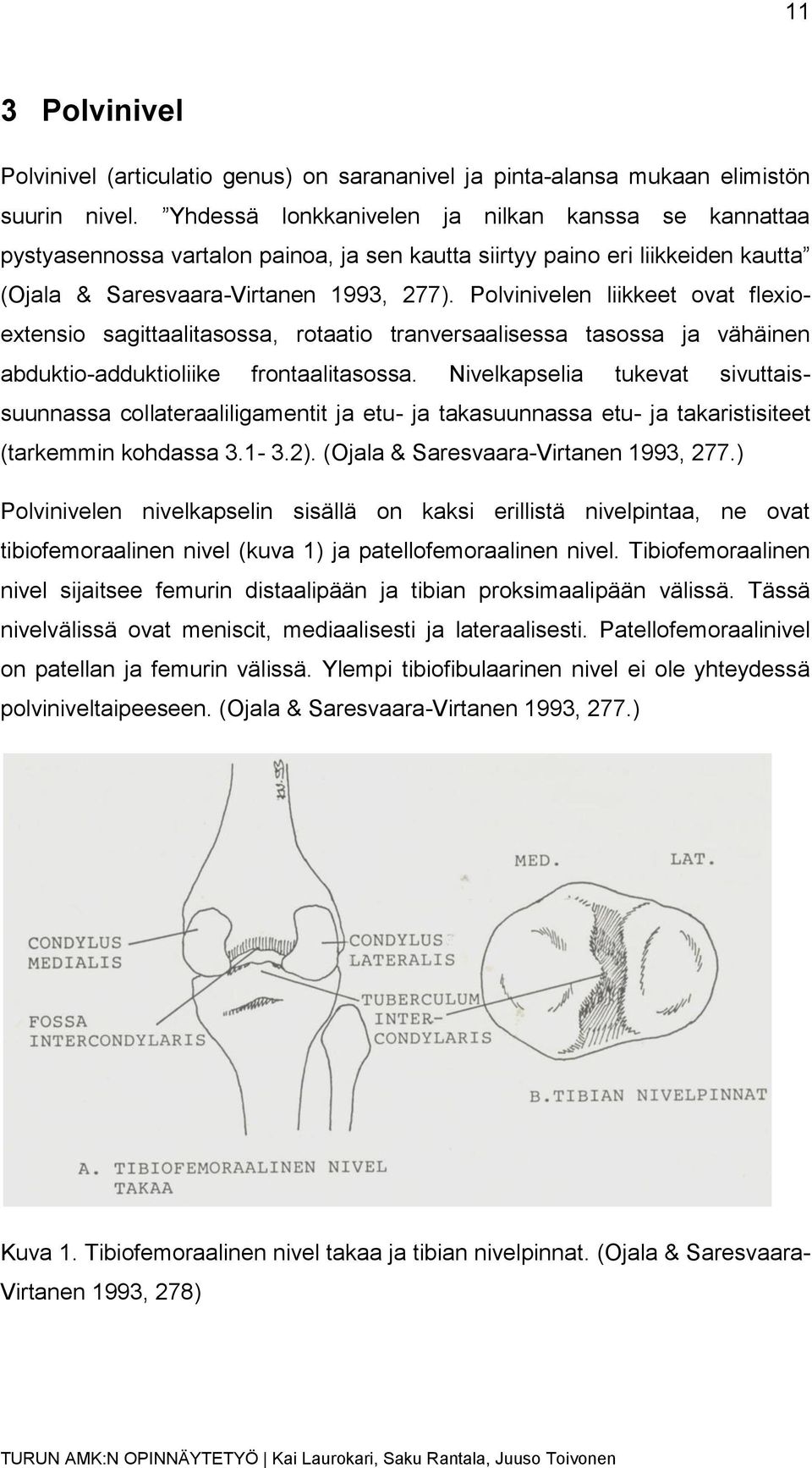 Polvinivelen liikkeet ovat flexioextensio sagittaalitasossa, rotaatio tranversaalisessa tasossa ja vähäinen abduktio-adduktioliike frontaalitasossa.