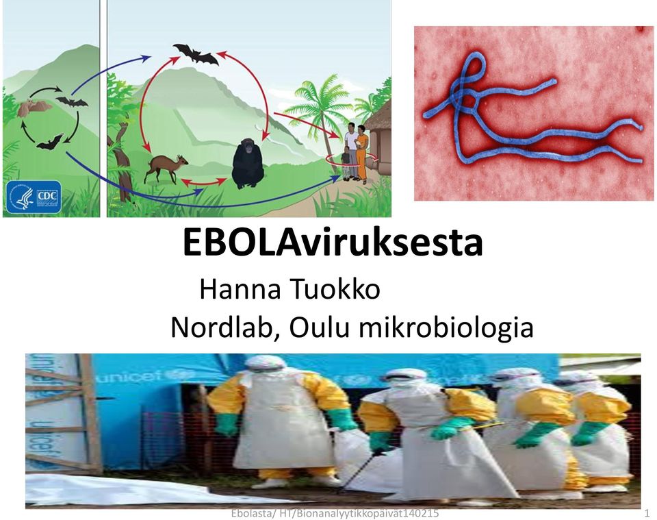 mikrobiologia Ebolasta/