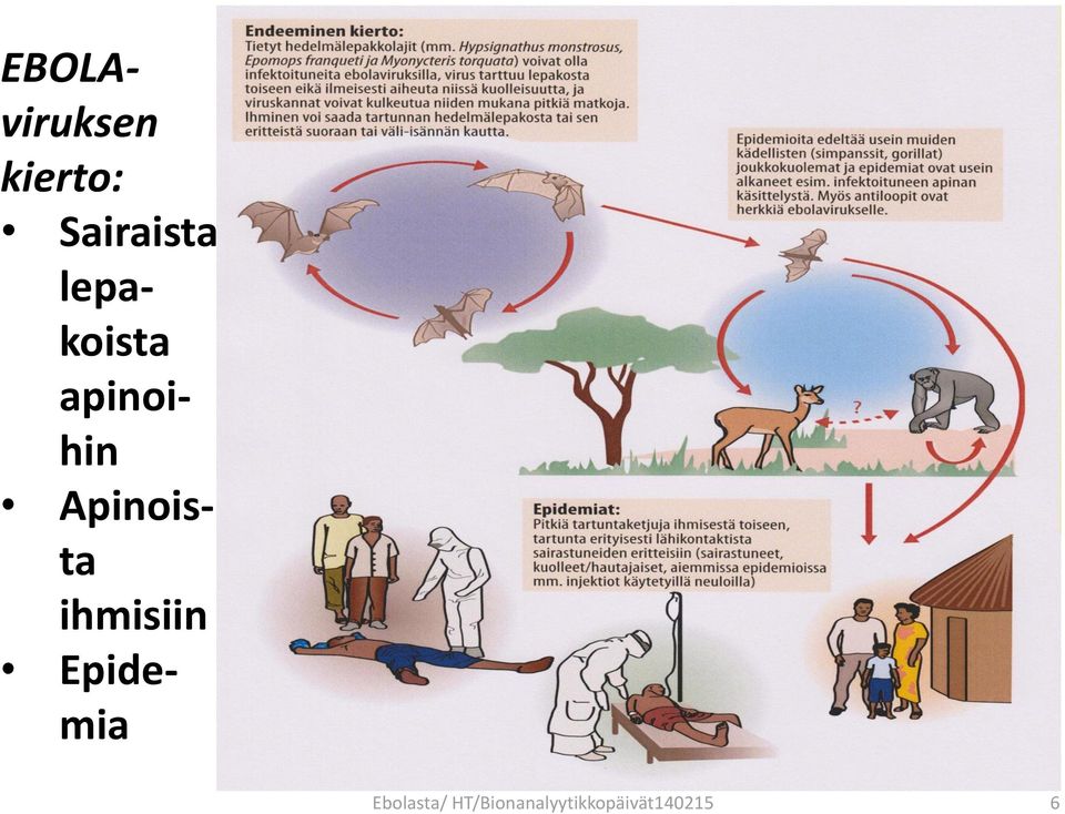 Apinoista ihmisiin Epidemia