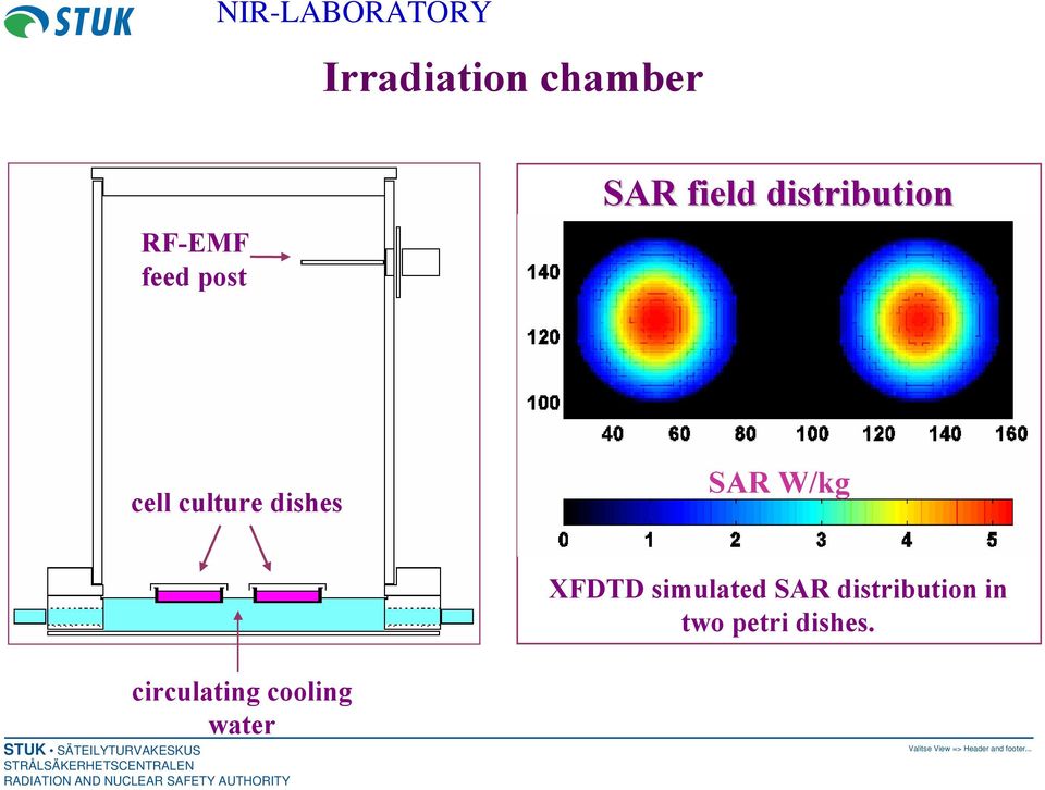 dishes SAR W/kg XFDTD simulated SAR