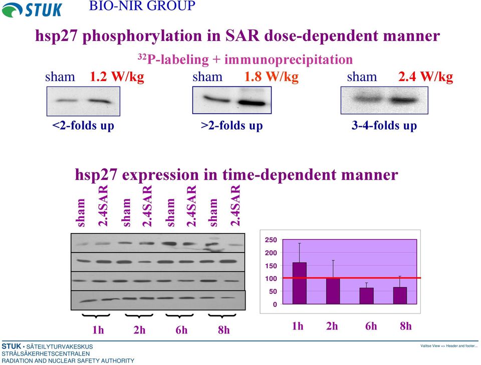 4 W/kg <2-folds up >2-folds up 3-4-folds up hsp27 expression in time-dependent