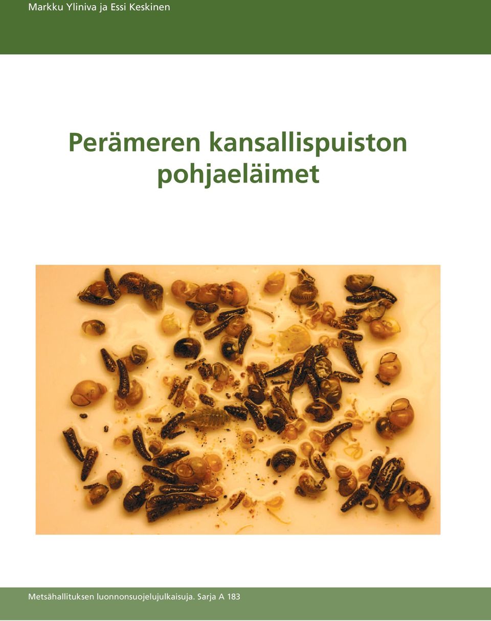 pohjaeläimet Metsähallituksen