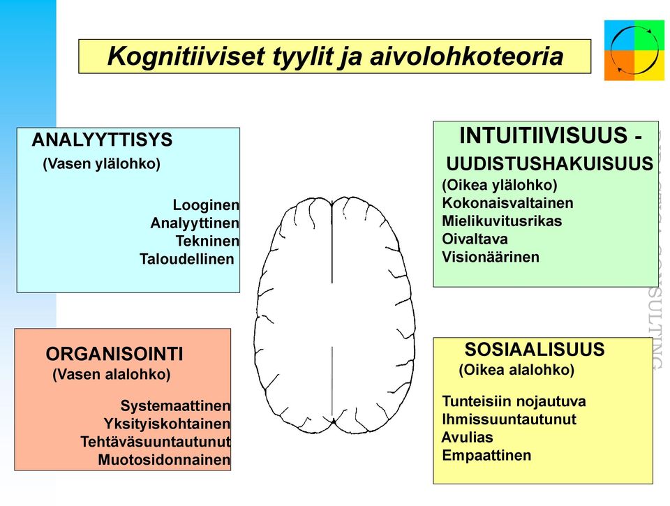 Oivaltava Visionäärinen ORGANISOINTI (Vasen alalohko) Systemaattinen Yksityiskohtainen