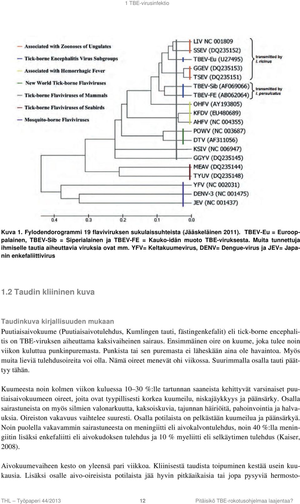 2 Taudin kliininen kuva Taudinkuva kirjallisuuden mukaan Puutiaisaivokuume (Puutiaisaivotulehdus, Kumlingen tauti, fästingenkefalit) eli tick-borne encephalitis on TBE-viruksen aiheuttama