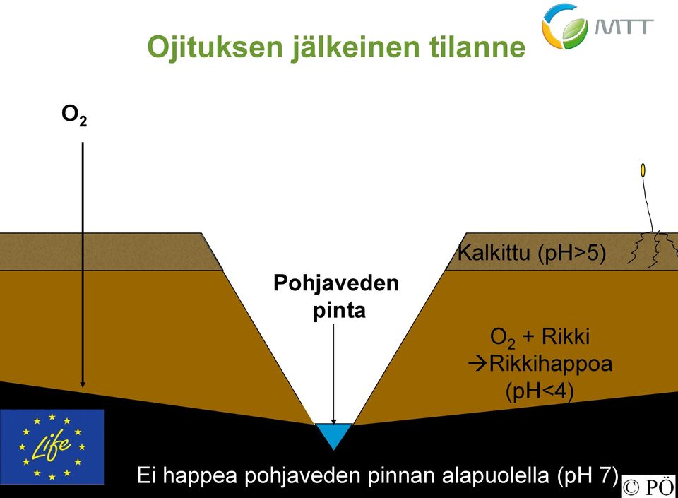 2 + Rikki Rikkihappoa (ph<4) Ei