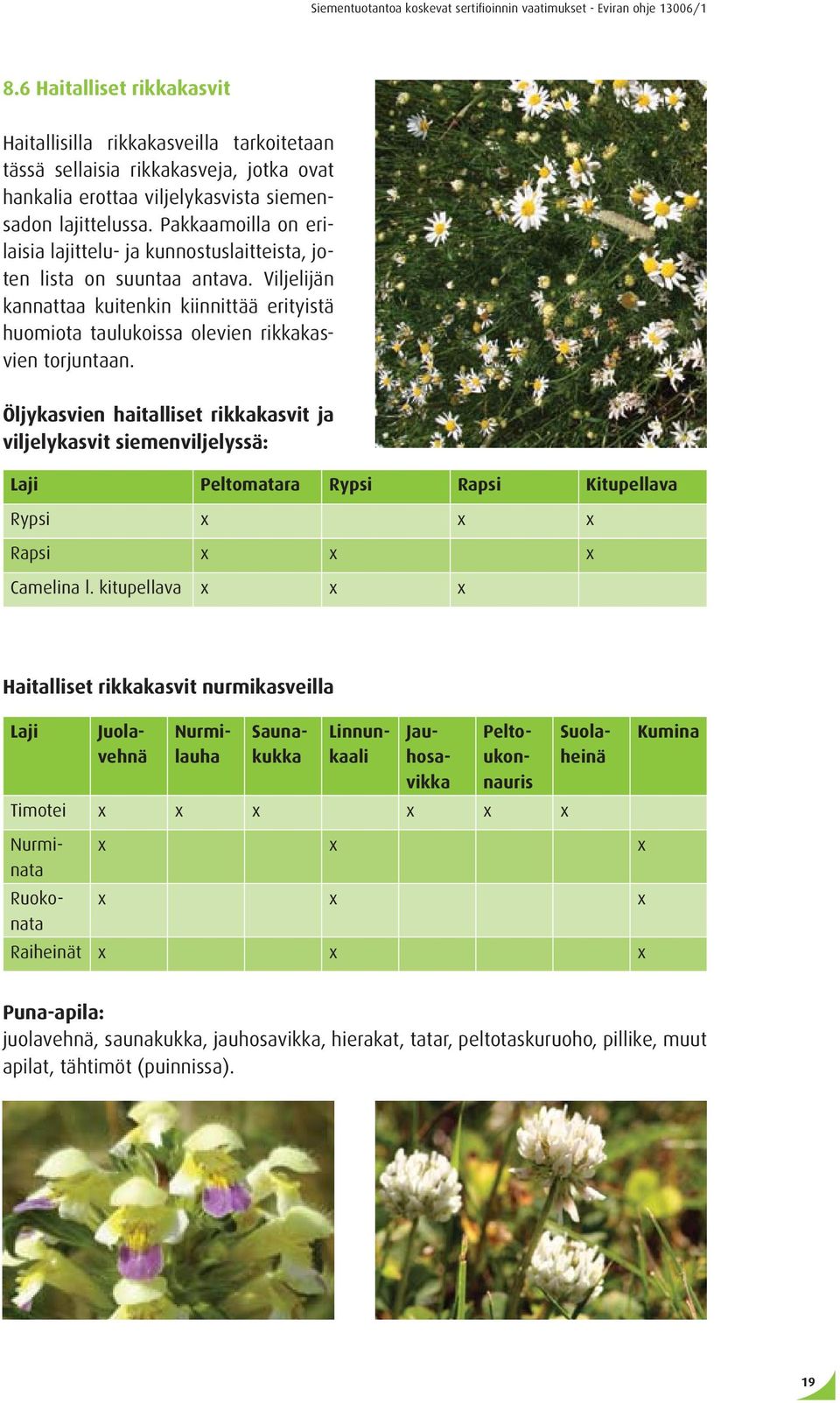 Öljykasvien haitalliset rikkakasvit ja viljelykasvit siemenviljelyssä: Laji Peltomatara Rypsi Rapsi Kitupellava Rypsi x x x Rapsi x x x Camelina l.