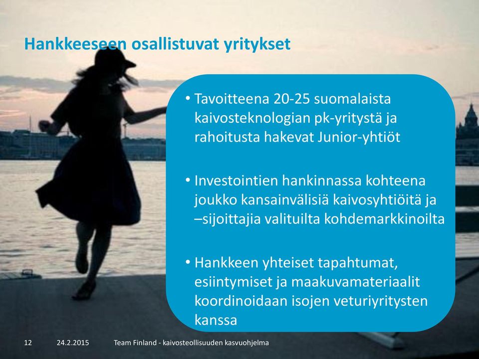 kaivosyhtiöitä ja sijoittajia valituilta kohdemarkkinoilta 12 