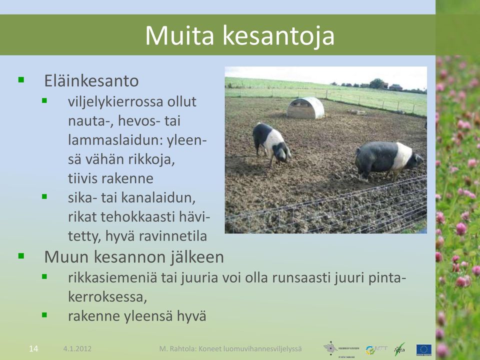 rikat tehokkaasti hävitetty, hyvä ravinnetila Muun kesannon jälkeen