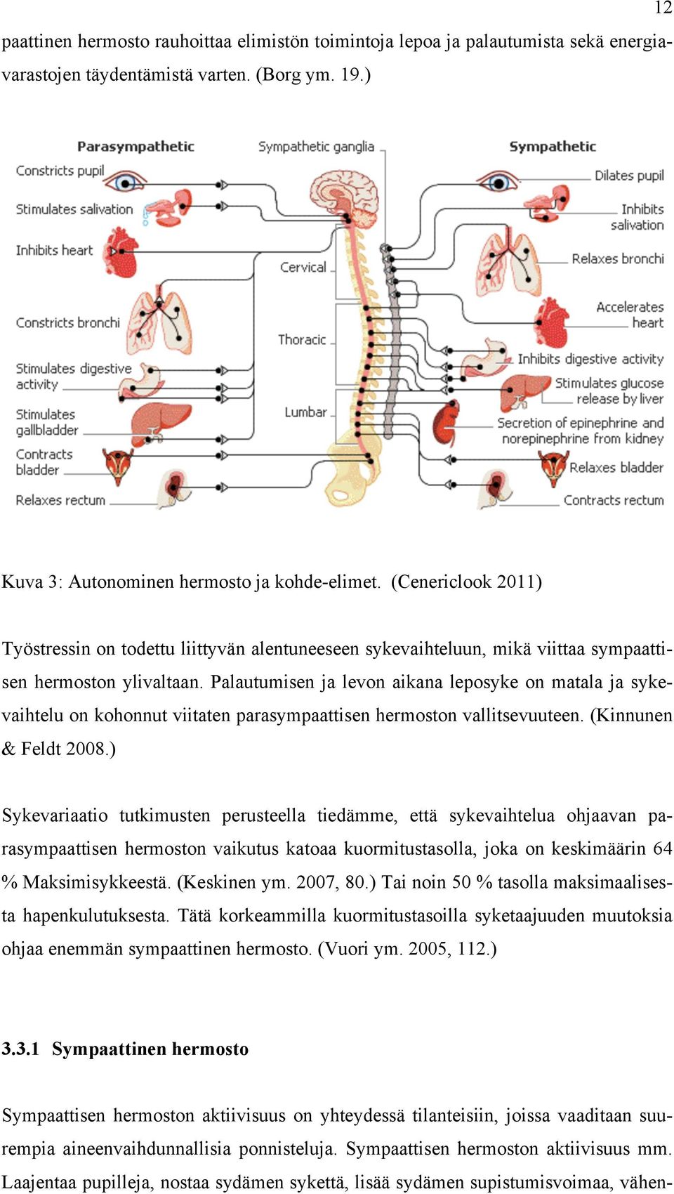 Palautumisen ja levon aikana leposyke on matala ja sykevaihtelu on kohonnut viitaten parasympaattisen hermoston vallitsevuuteen. (Kinnunen & Feldt 2008.