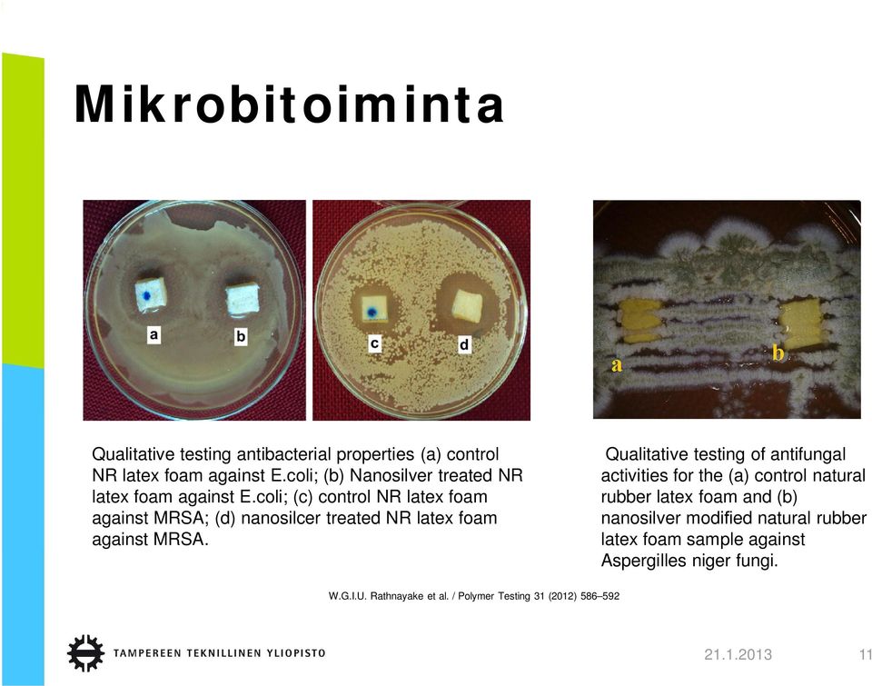 coli; (c) control NR latex foam against MRSA; (d) nanosilcer treated NR latex foam against MRSA.