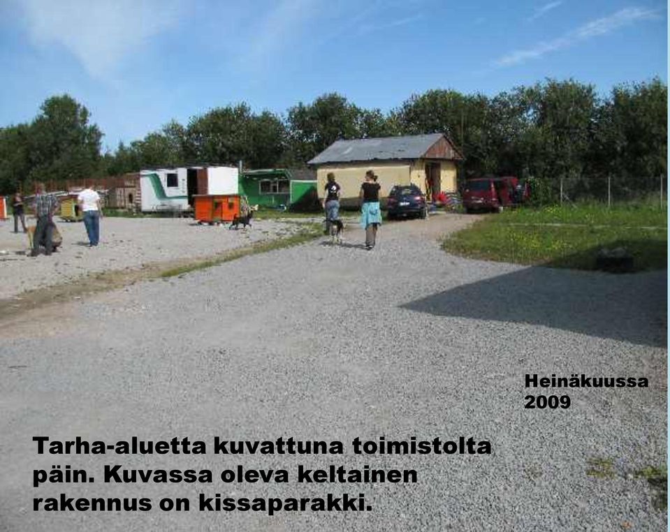 Kuvassa oleva keltainen