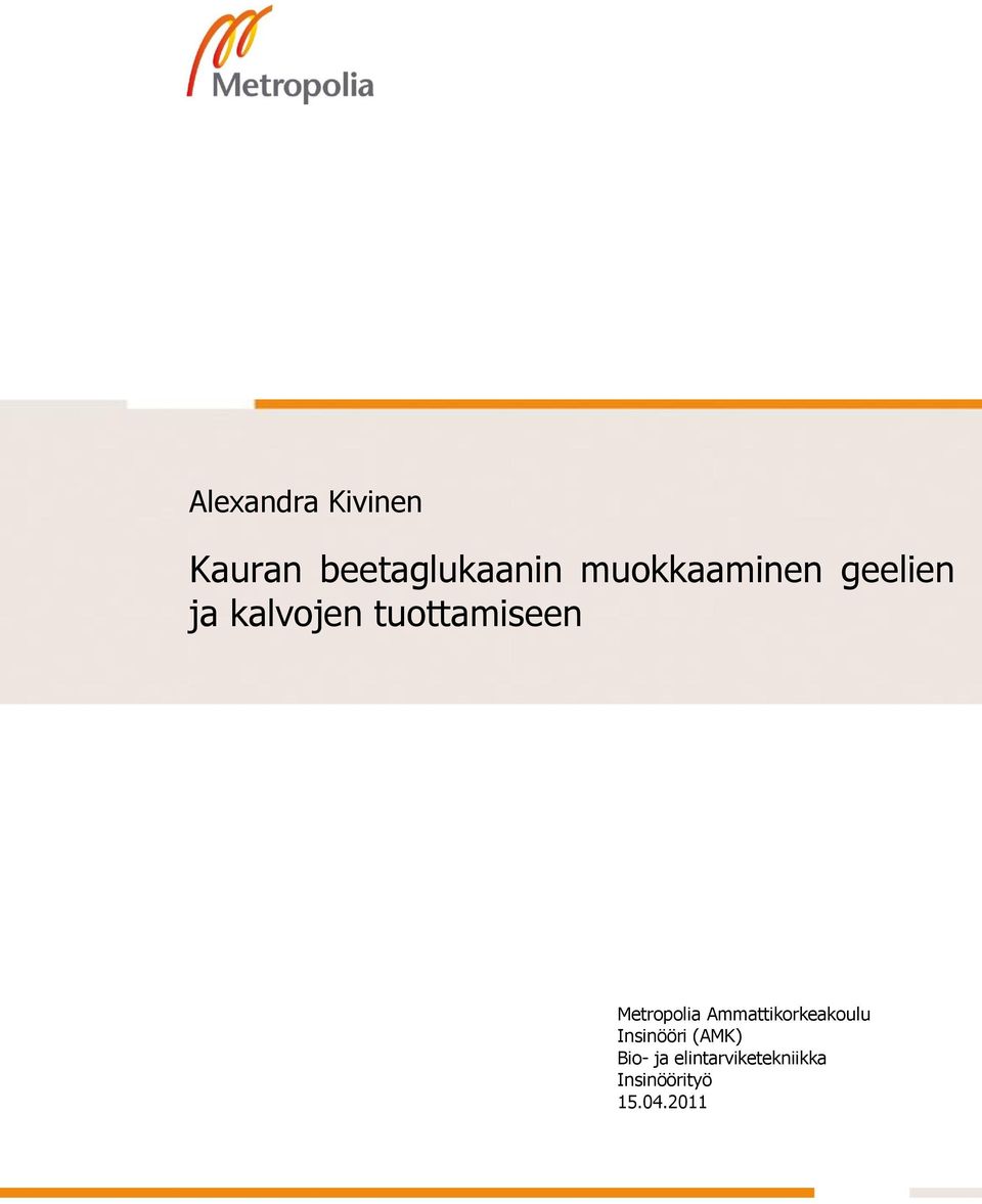 Alaotsikko Metropolia Ammattikorkeakoulu