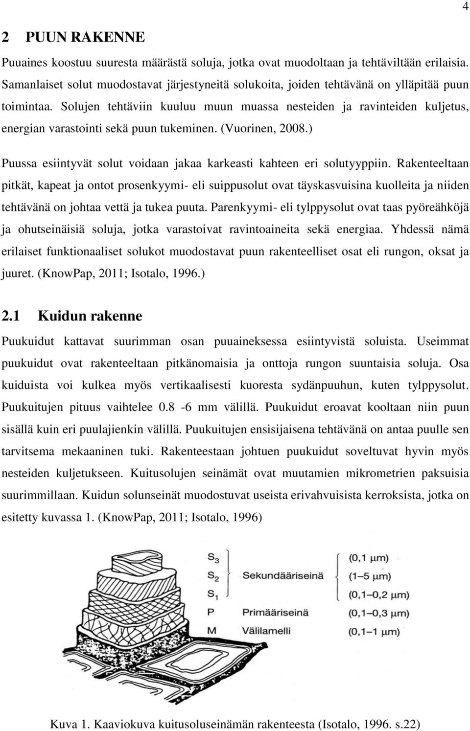 Solujen tehtäviin kuuluu muun muassa nesteiden ja ravinteiden kuljetus, energian varastointi sekä puun tukeminen. (Vuorinen, 2008.