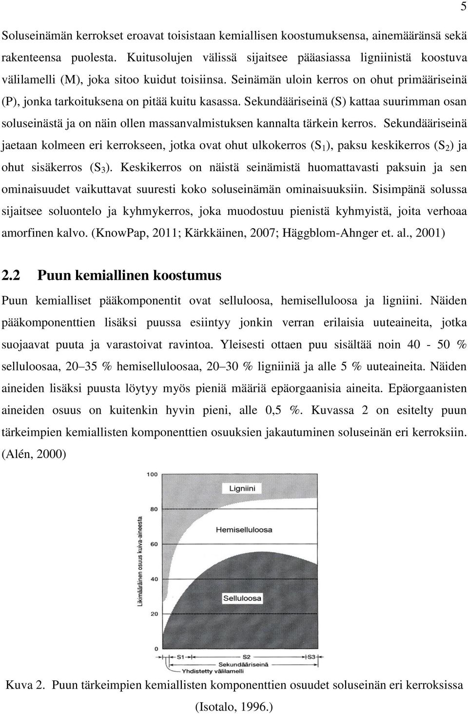 Seinämän uloin kerros on ohut primääriseinä (P), jonka tarkoituksena on pitää kuitu kasassa.