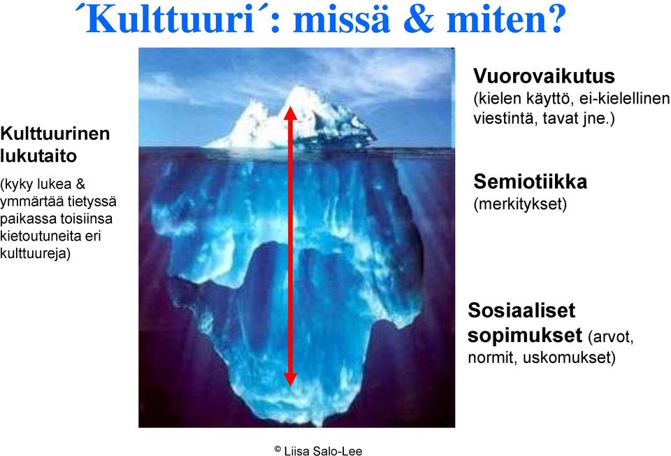 toisiinsa kietoutuneita eri kulttuureja) Vuorovaikutus (kielen käyttö,