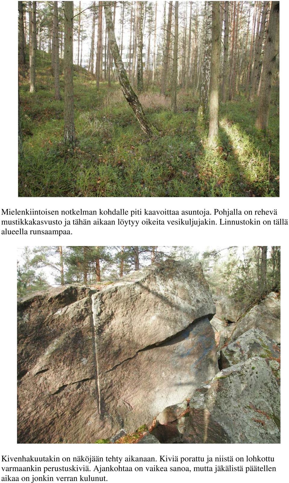 Linnustokin on tällä alueella runsaampaa. Kivenhakuutakin on näköjään tehty aikanaan.