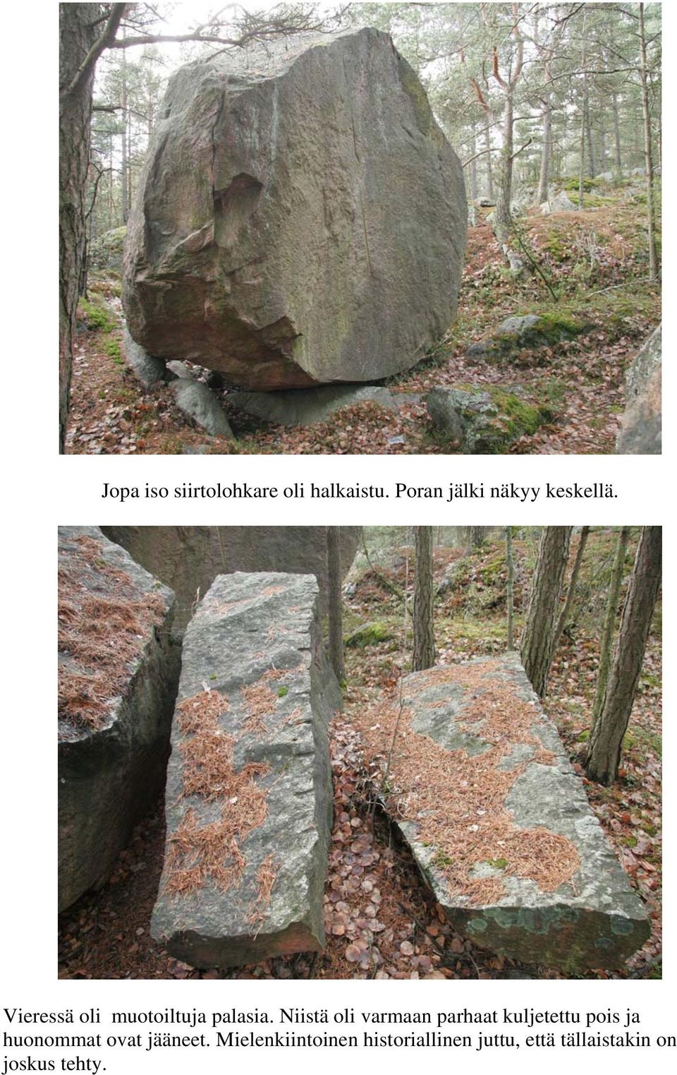 Niistä oli varmaan parhaat kuljetettu pois ja huonommat ovat