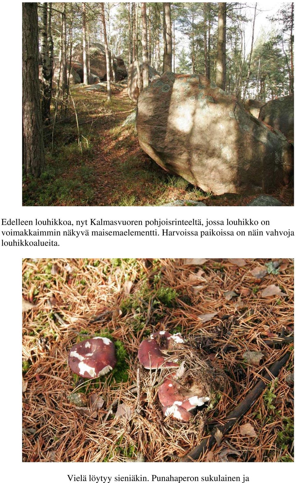 näkyvä maisemaelementti.