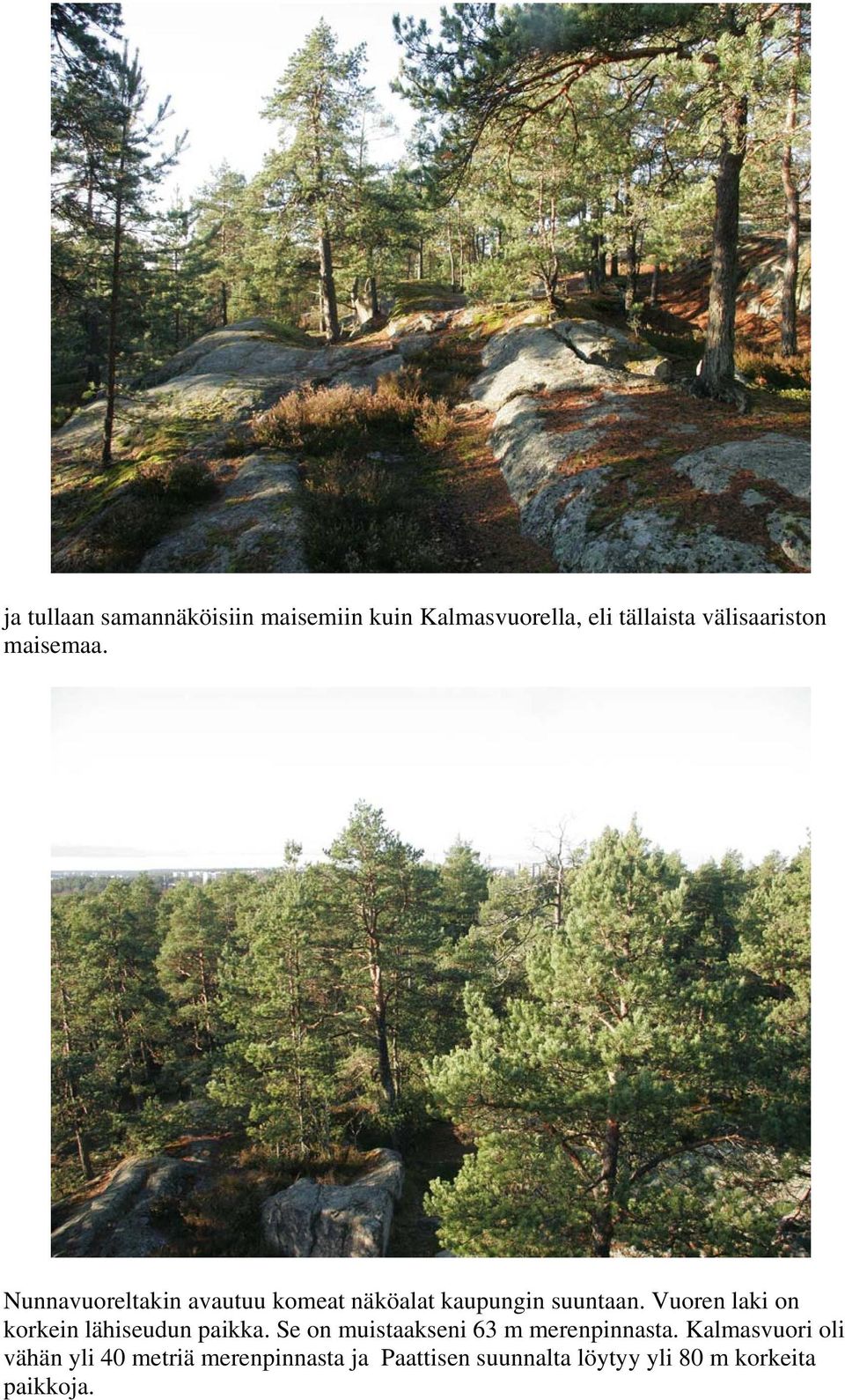 Vuoren laki on korkein lähiseudun paikka. Se on muistaakseni 63 m merenpinnasta.