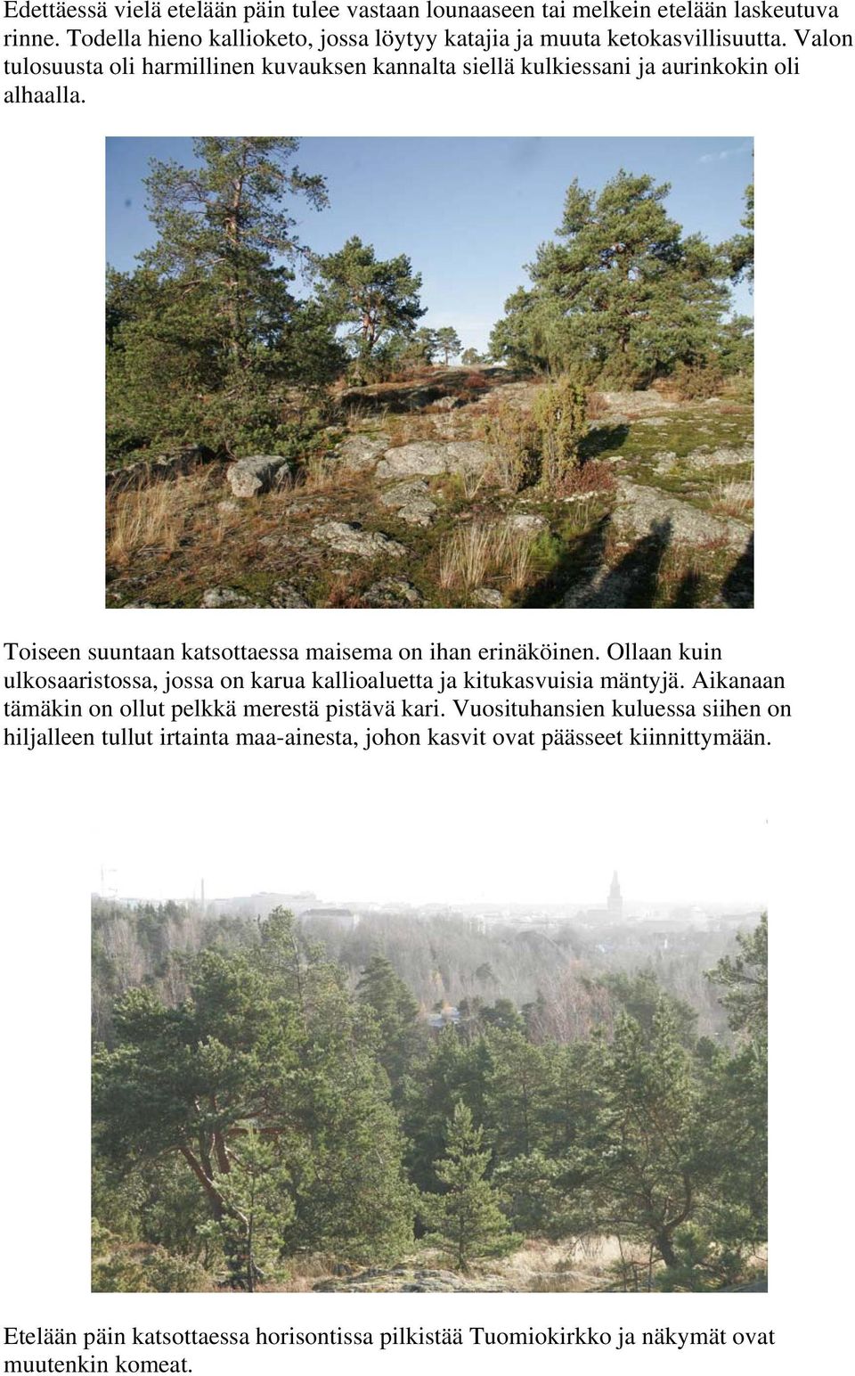 Ollaan kuin ulkosaaristossa, jossa on karua kallioaluetta ja kitukasvuisia mäntyjä. Aikanaan tämäkin on ollut pelkkä merestä pistävä kari.