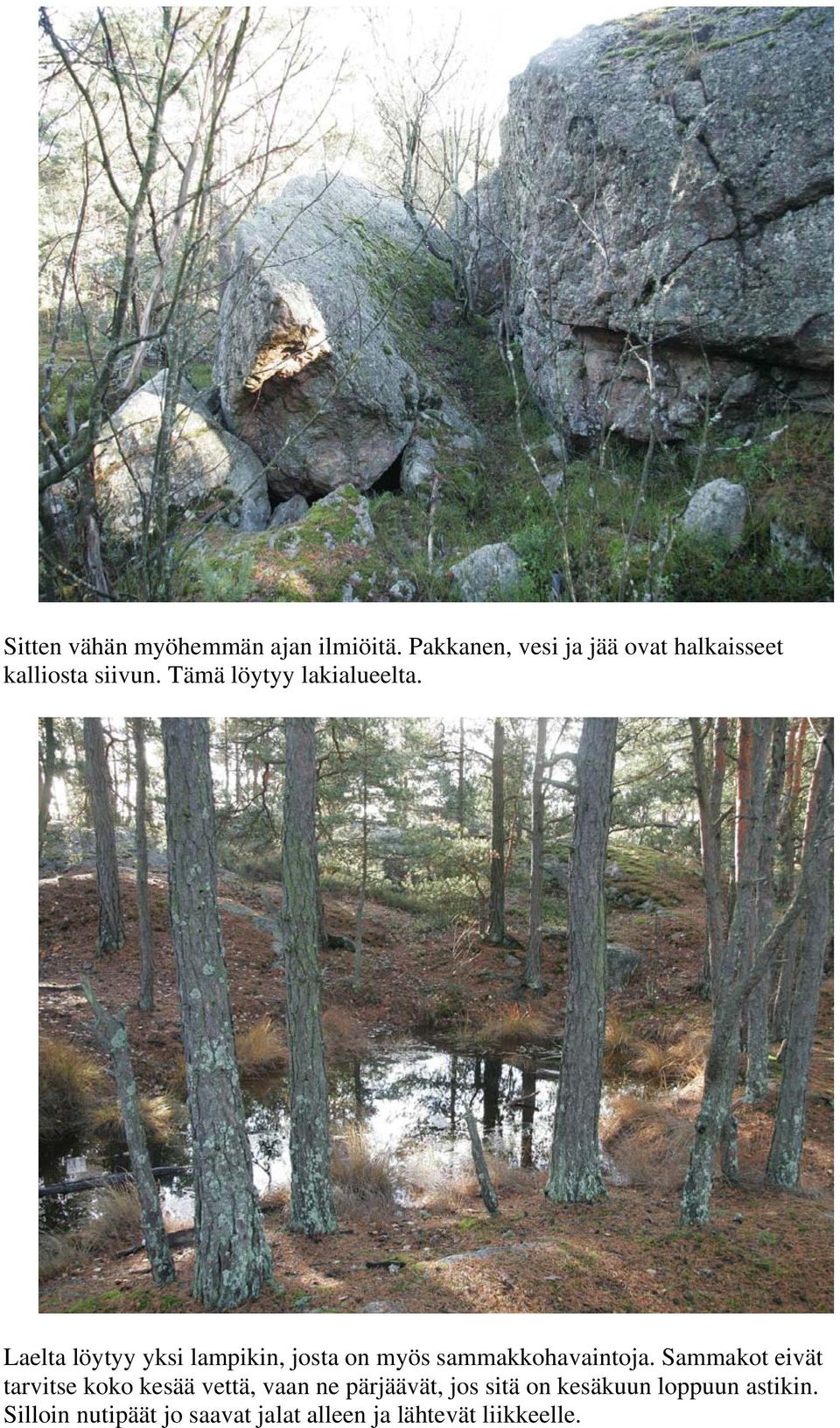 Laelta löytyy yksi lampikin, josta on myös sammakkohavaintoja.
