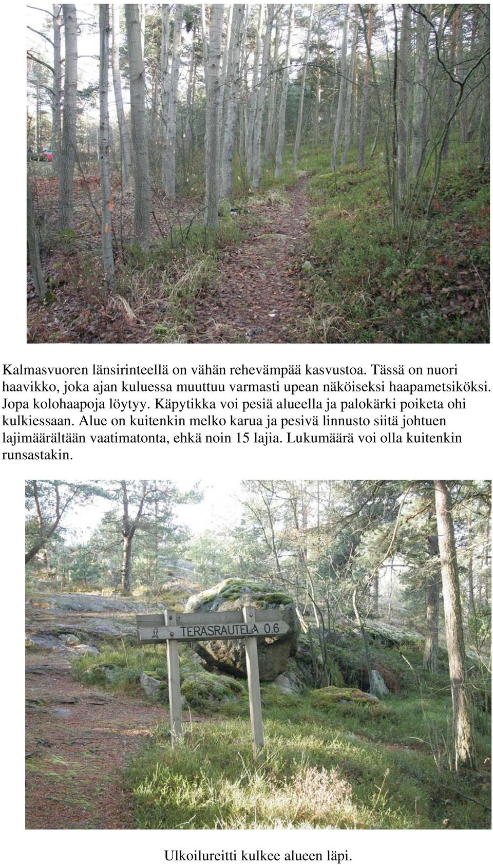 Jopa kolohaapoja löytyy. Käpytikka voi pesiä alueella ja palokärki poiketa ohi kulkiessaan.