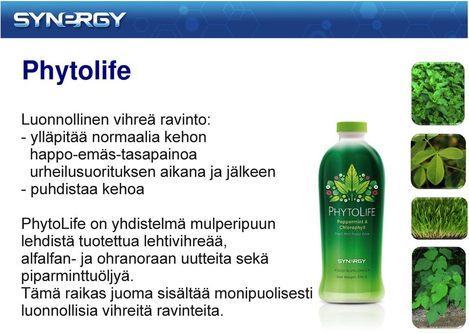 PhytoLife on yhdistelmä mulperipuun lehdistä tuotettua lehtivihreää, alfalfan- ja