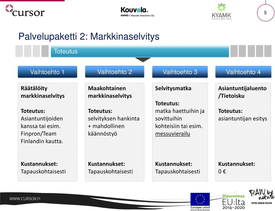 Maakohtainen markkinaselvitys selvityksen hankinta + mahdollinen käännöstyö Selvitysmatka matka