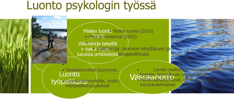 artikkeleita terapeuttisuus Luonto sisätiloissa, vastaanottohuoneessa Vastaanotto kasveja, luontokuvia, kiviä,