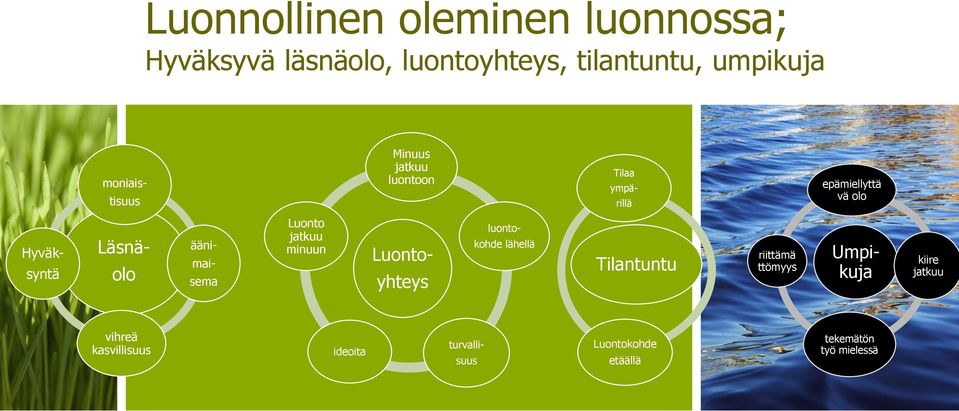 ääni- mai- sema Luonto jatkuu minuun Luonto- yhteys luonto- kohde lähellä Tilantuntu riittämä