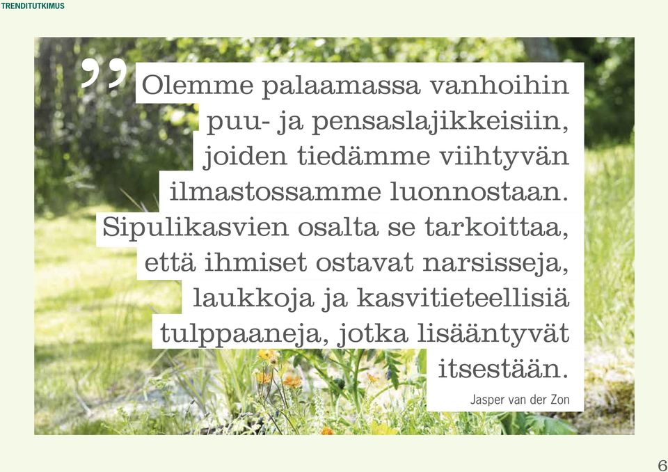 Sipulikasvien osalta se tarkoittaa, että ihmiset ostavat narsisseja,