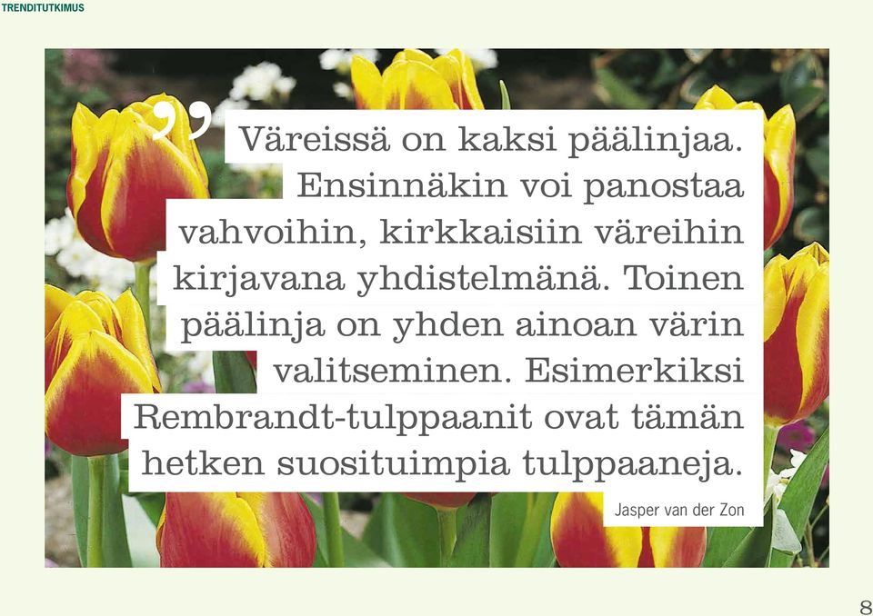 yhdistelmänä. Toinen päälinja on yhden ainoan värin valitseminen.