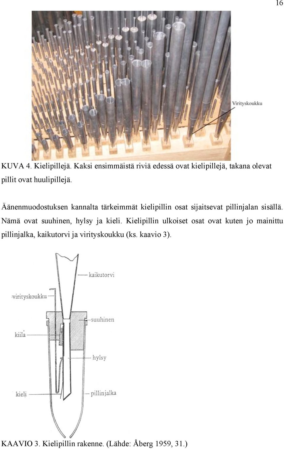 Äänenmuodostuksen kannalta tärkeimmät kielipillin osat sijaitsevat pillinjalan sisällä.