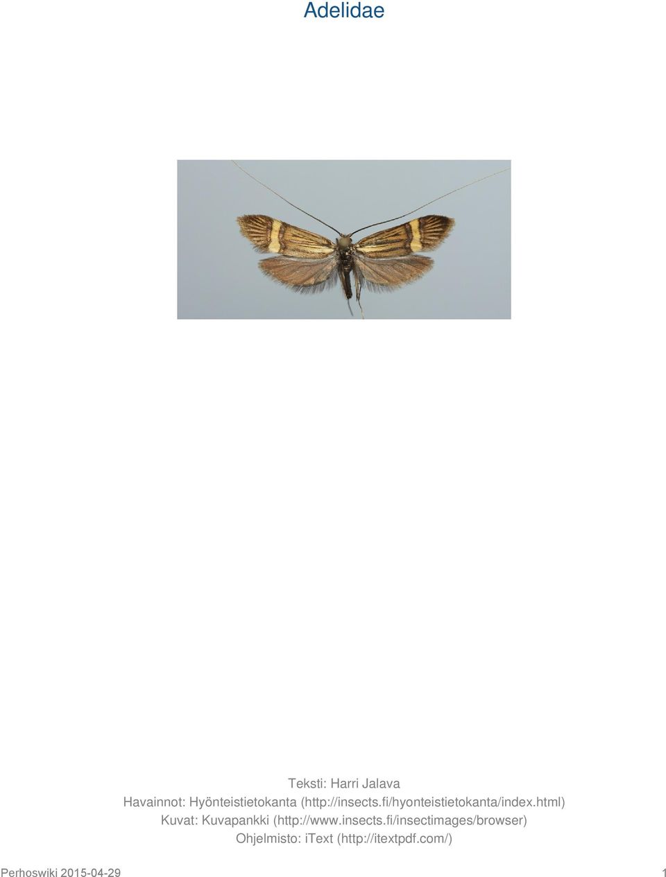 html) Kuvat: Kuvapankki (http://www.insects.