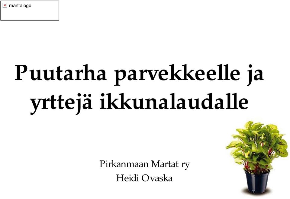 yrttejä