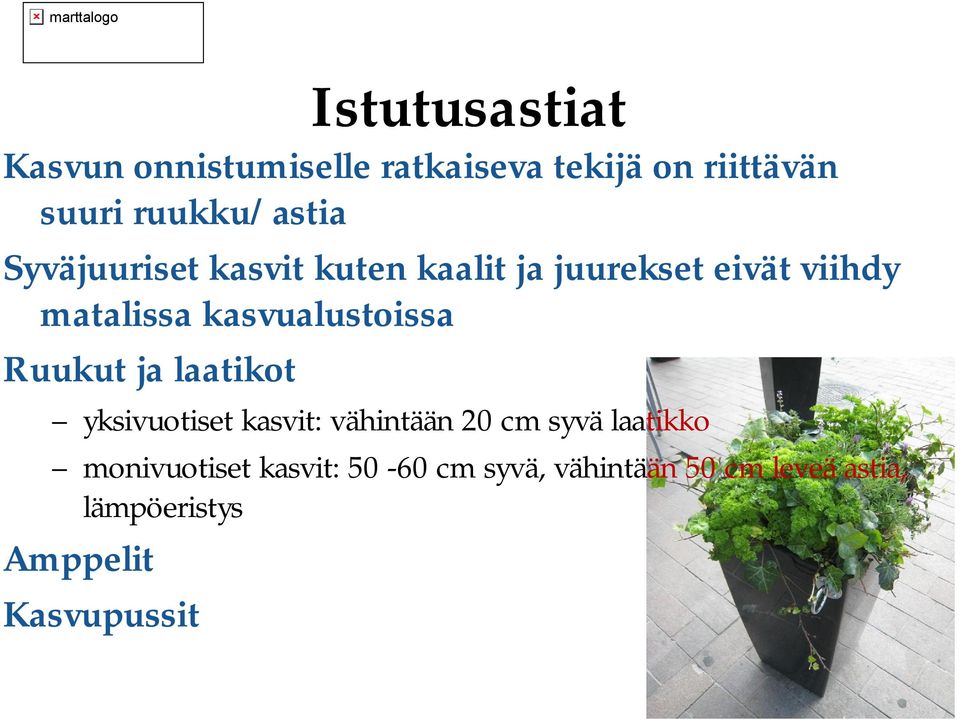 kasvualustoissa Ruukut ja laatikot yksivuotiset kasvit: vähintään 20 cm syvä