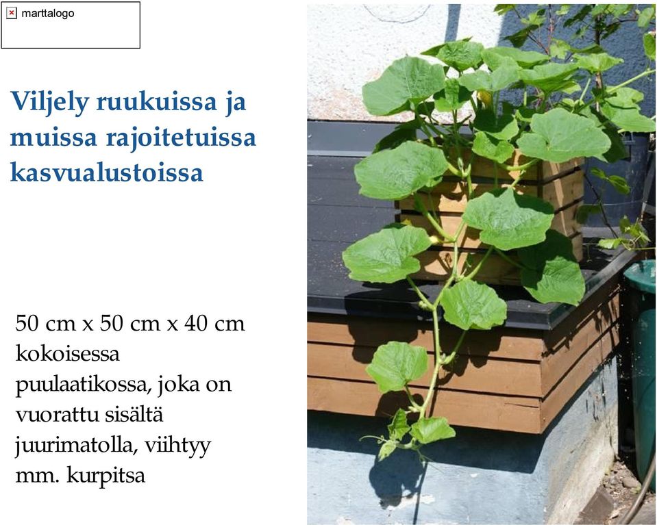 kokoisessa puulaatikossa, joka on