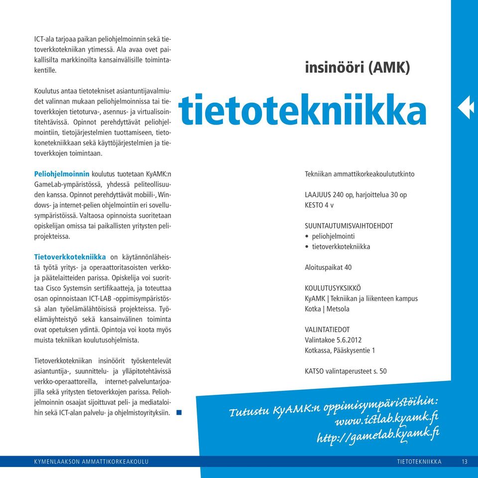 Opinnot perehdyttävät peliohjelmointiin, tietojärjestelmien tuottamiseen, tietokonetekniikkaan sekä käyttöjärjestelmien ja tietoverkkojen toimintaan.