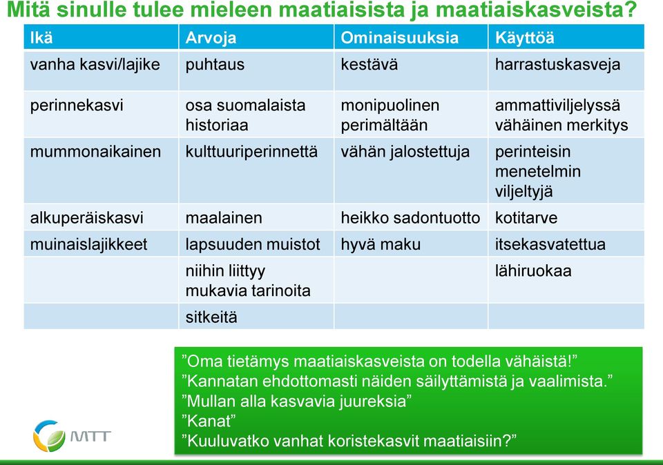 mummonaikainen kulttuuriperinnettä vähän jalostettuja perinteisin menetelmin viljeltyjä alkuperäiskasvi maalainen heikko sadontuotto kotitarve muinaislajikkeet lapsuuden muistot hyvä maku