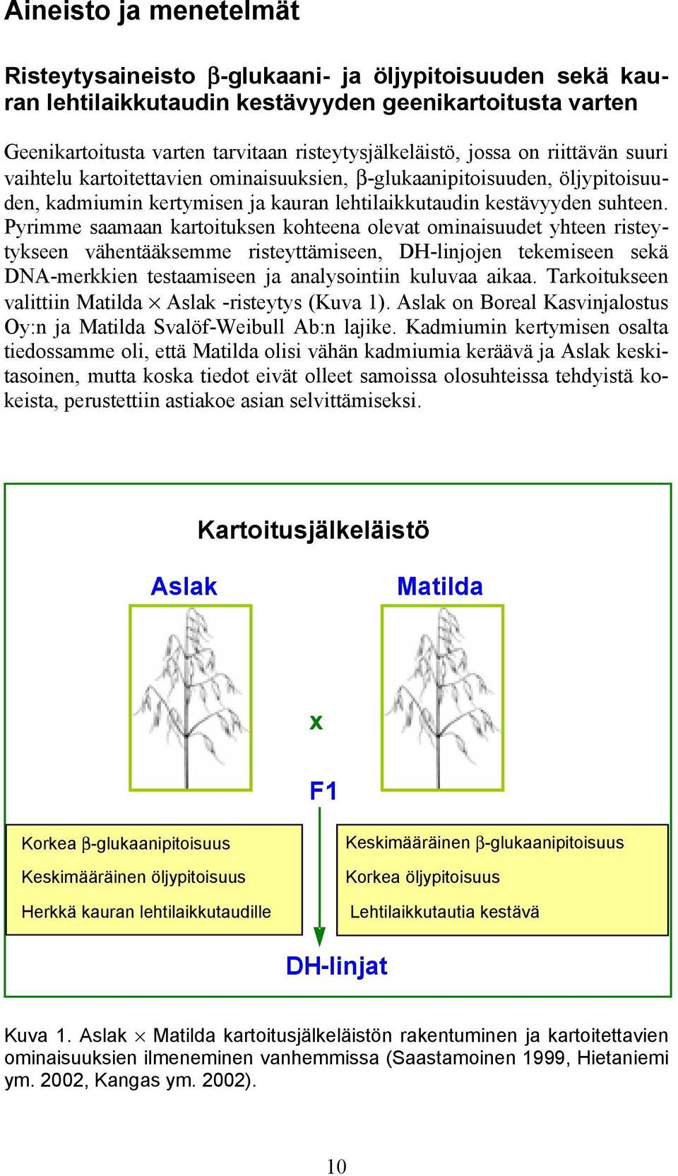 Pyrimme saamaan kartoituksen kohteena olevat ominaisuudet yhteen risteytykseen vähentääksemme risteyttämiseen, DH-linjojen tekemiseen sekä DNA-merkkien testaamiseen ja analysointiin kuluvaa aikaa.