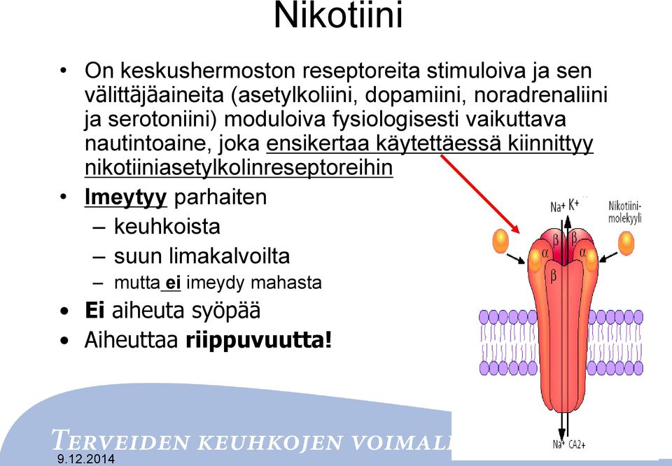 joka ensikertaa käytettäessä kiinnittyy nikotiiniasetylkolinreseptoreihin Imeytyy parhaiten