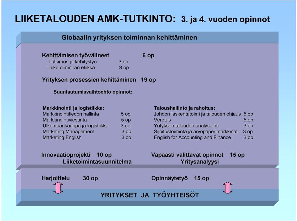 Suuntautumisvaihtoehto opinnot: Markkinointi ja logistiikka: Markkinointitiedon hallinta Markkinointiviestintä Ulkomaankauppa ja logistiikka Marketing Management Marketing English